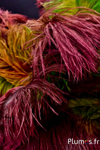 Struzzo - 35-40 cm - dorato azteco Autunno